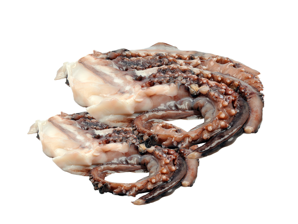 Ciuffi di totano (tentacoli)