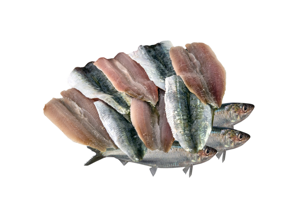 Filetto di sardine