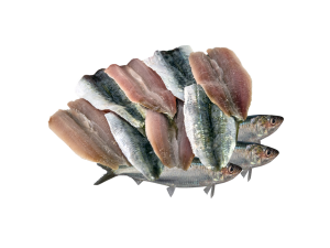 Filetto di sardine