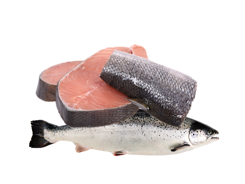 Tranci di salmone